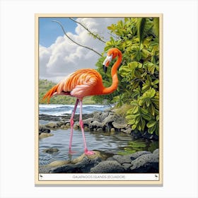 Greater Flamingo Galapagos Islands Ecuador Tropical Illustration 7 Poster Canvas Print