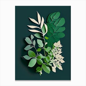 Thyme Leaf Vibrant Inspired 2 Canvas Print