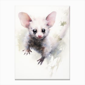 Light Watercolor Painting Of A Greater Glider 2 Canvas Print