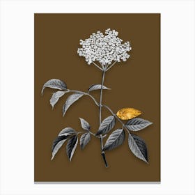 Vintage Elderflower Tree Black and White Gold Leaf Floral Art on Coffee Brown n.0959 Canvas Print