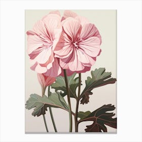 Floral Illustration Geranium 3 Canvas Print