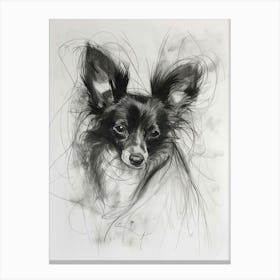 Papillon Dog Charcoal Line 4 Canvas Print