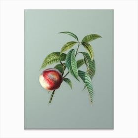Vintage Peach Botanical Art on Mint Green n.0970 Canvas Print
