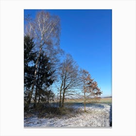 Winter Landscape 13 Canvas Print