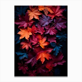 Autumn Leaves On Black Background Canvas Print