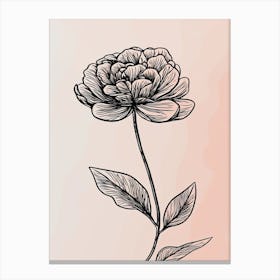 Line Art Marigold Flowers Illustration Neutral 1 Canvas Print