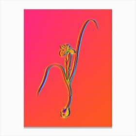 Neon Barbary Nut Botanical in Hot Pink and Electric Blue Canvas Print