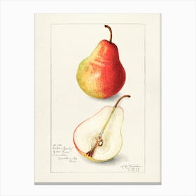 Pears Canvas Print