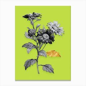 Vintage Red Aster Flowers Black and White Gold Leaf Floral Art on Chartreuse n.0197 Canvas Print