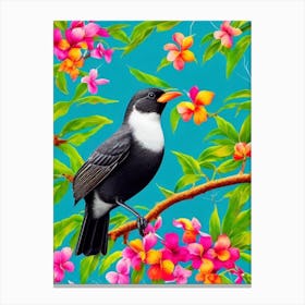 Blackbird Tropical bird Canvas Print
