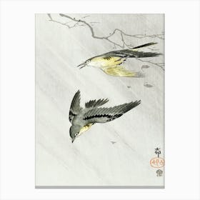 Songbirds In Rain (1900 1910), Ohara Koson Canvas Print