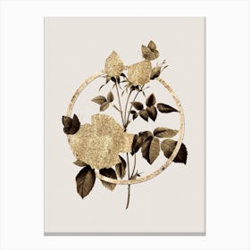 Gold Ring White Bengal Rose Glitter Botanical Illustration n.0249 Canvas Print