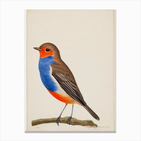 European Robin Illustration Bird Canvas Print