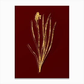Vintage Siberian Iris Botanical in Gold on Red n.0293 Canvas Print
