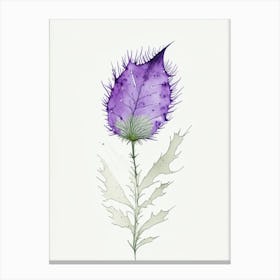 Thistle Leaf Minimalist Watercolour 1 Canvas Print