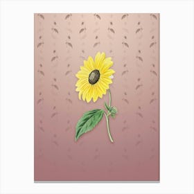 Vintage California Sunflower Botanical on Dusty Pink Pattern n.1800 Canvas Print