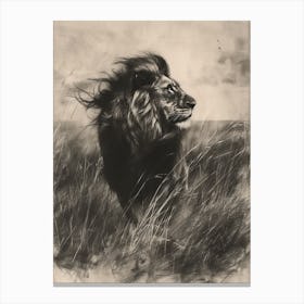 African Lion Charcoal Drawing Hunting 4 Canvas Print