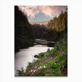 Redwood National Park River and Flowers Canvas Print