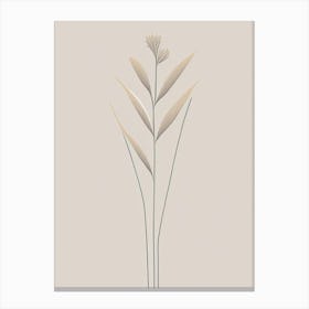 Psyllium Herb Simplicity Canvas Print