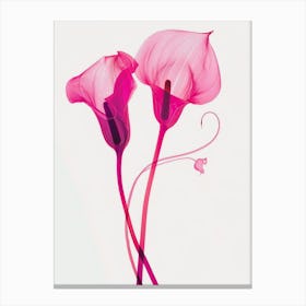 Hot Pink Calla Lily 2 Canvas Print