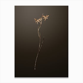 Gold Botanical Gladiolus Watsonius on Chocolate Brown n.2901 Canvas Print