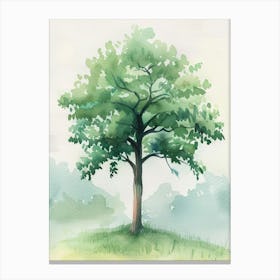 Mahogany Tree Atmospheric Watercolour Painting 5 Canvas Print