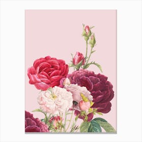 Vintage Pink Roses Canvas Print
