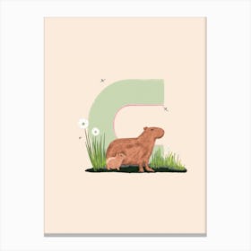 Letter C Capybara Canvas Print