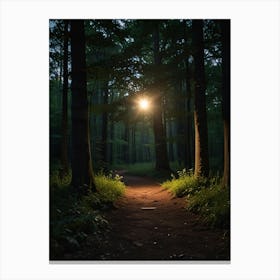 Path in the night forest Canvas Print