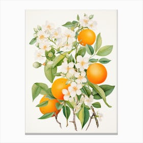 Orange Blossoms 2 Canvas Print