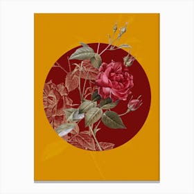 Vintage Botanical Blood Red Bengal Rose on Circle Red on Yellow n.0069 Canvas Print