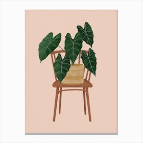 Philodendron On A Chair Canvas Print