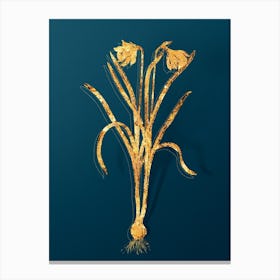 Vintage Narcissus Candidissimus Botanical in Gold on Teal Blue n.0247 Canvas Print