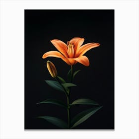 Orange Lily 5 Canvas Print