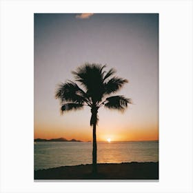 Sunset Palm Tree Canvas Print