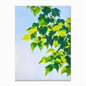 English Ivy Bold Graphic Plant Canvas Print
