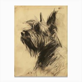 Skye Terrier Dog Charcoal Line 2 Canvas Print