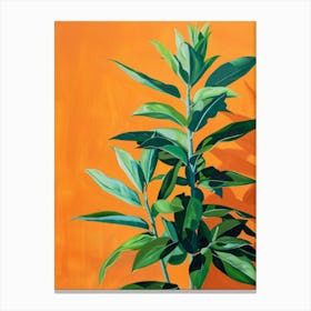 Sage Plant Canvas Print