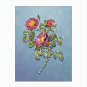 Vintage Rose Of Love Bloom Botanical Art on Summer Song Blue n.1786 Canvas Print