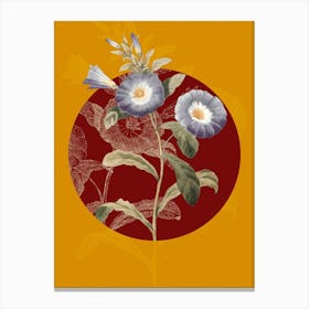 Vintage Botanical Field bindweed Liseron on Circle Red on Yellow n.0123 Canvas Print