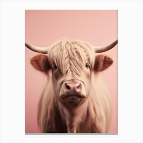 Pastel Pink Portrait Of Highland Cow 1 Canvas Print