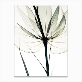 Lily Of The Valley Black And White Flower Silhouette Canvas Print