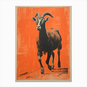 Goat, Woodblock Animal Drawing 4 Canvas Print