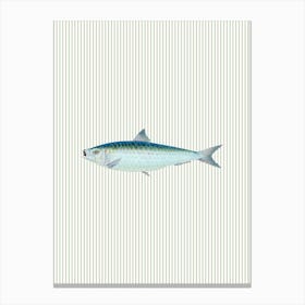 Sardine Striped Kitchen Poster Toile