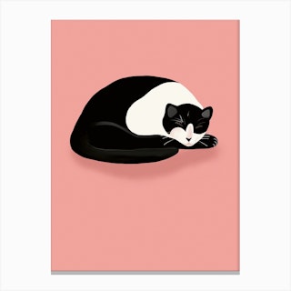 Cat Nap Canvas Print