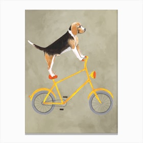 Beagle On Bicycle Canvas Print