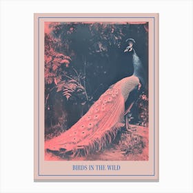 Pink & Blye Peacock Cyanotype Inspired Poster Canvas Print