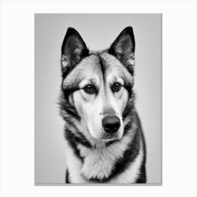 Norwegian Buhund B&W Pencil dog Canvas Print