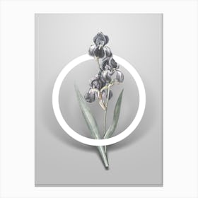 Vintage Dalmatian Iris Minimalist Floral Geometric Circle on Soft Gray n.0574 Canvas Print