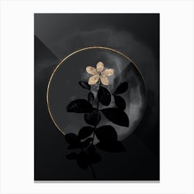 Shadowy Vintage Gardenia Botanical on Black and White Botanical in Black and Gold n.0104 Canvas Print